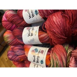 copy of Antique Rose of the...